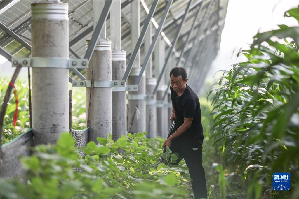 捕鱼达人2电脑版官网
